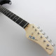 FUJIGEN EOS-AL-R ODYSSEY EXPERT SERIES (Black)