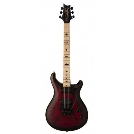 PRS DW CE 24 FLOYD (Waring Burst)