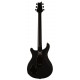 PRS DW CE 24 FLOYD (Waring Burst)