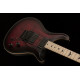 PRS DW CE 24 FLOYD (Waring Burst)
