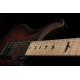 PRS DW CE 24 FLOYD (Waring Burst)