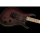 PRS DW CE 24 FLOYD (Waring Burst)