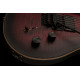 PRS DW CE 24 FLOYD (Waring Burst)