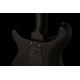 PRS DW CE 24 FLOYD (Waring Burst)