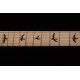 PRS DW CE 24 FLOYD (Waring Burst)
