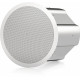 TANNOY CVS 801S LZ