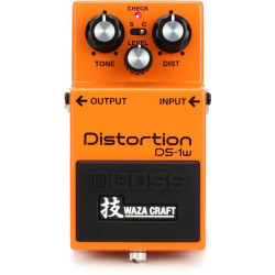 BOSS DS1W