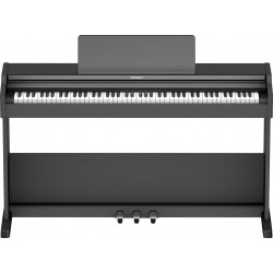 ROLAND RP107BKX