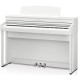 KAWAI CA49W