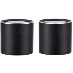 SE ELECTRONICS SE8 CARDIOID CAPSULE (P)