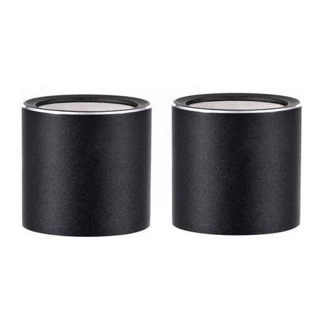 SE ELECTRONICS SE8 CARDIOID CAPSULE (P)