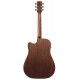 IBANEZ AW247CE