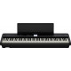 ROLAND FP-E50