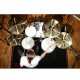 Meinl Тарілка Meinl HCS18TRS