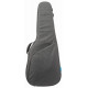 IBANEZ IAB724-CGY