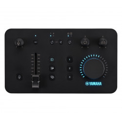 YAMAHA ZG01
