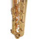 Roy Benson BS-302
