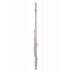 Roy Benson FL-602E