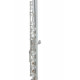 Roy Benson FL-602E