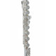 Roy Benson FL-602E