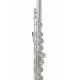 Roy Benson FL-602E