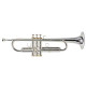 Roy Benson Charli Green Signature