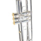 Roy Benson Charli Green Signature