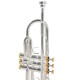 Roy Benson Charli Green Signature