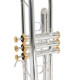 Roy Benson Charli Green Signature