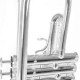 Roy Benson TR-202S