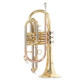 Roy Benson CR-202