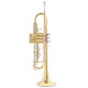 Roy Benson TR-202