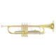 Roy Benson TR-202