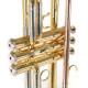 Roy Benson TR-202