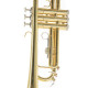 Roy Benson TR-101