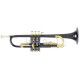 Roy Benson TR-101K