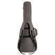 CORT CPAG10 Premium Bag Acoustic Guitar