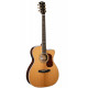 CORT GOLD-OC8 (Natural)