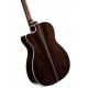 CORT GOLD-OC8 (Natural)