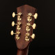 CORT GOLD A8 (Light Burst)
