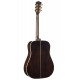CORT GOLD-D8 (Light Burst)