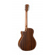CORT GA1E (Open Pore)