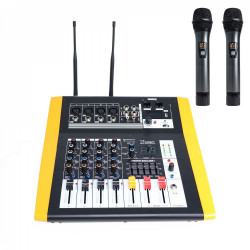 MAXIMUM ACOUSTICS RPW-250