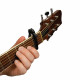 D'addario PW-CP-01 Ratchet Capo