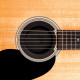 D'addario PW-SH-01 Screeching Halt Soundhole Plug
