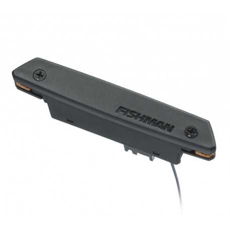 Fishman Rare Earth Magnetic Soundhole Pickup (Fishman PRO-REP-101)