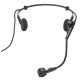 Audio-Technica PRO8HECH