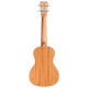 CORDOBA 15CM Matiz in Mango
