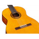 CORDOBA C1 (with Gig Bag)