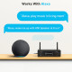 Arylic H50 Wireless Stereo Amplifier